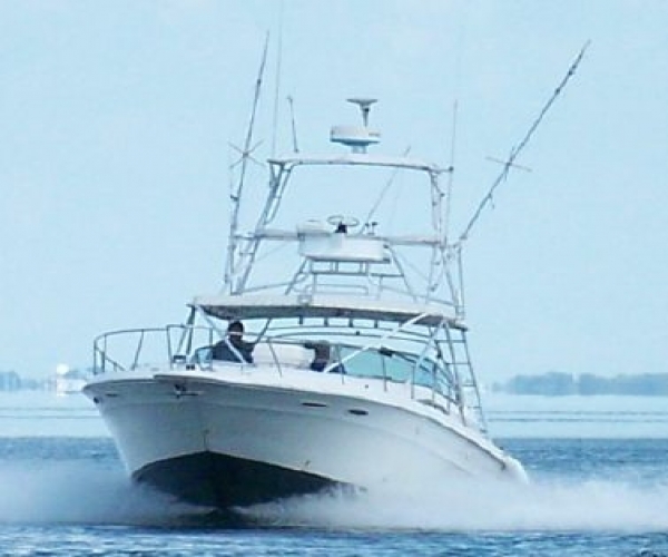 Sea Ray Boats For Sale by owner | 1992 Sea Ray 400 Express Sport Fisher